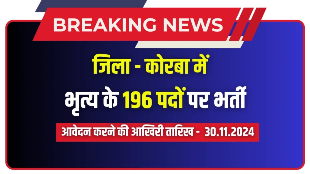 कार्यालय जिला शिक्षा अधिकारी कोरबा 196 भृत्य पदों पर भर्ती 2024