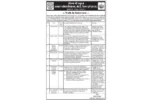 pm-shri-school-borai-recruitment-2025